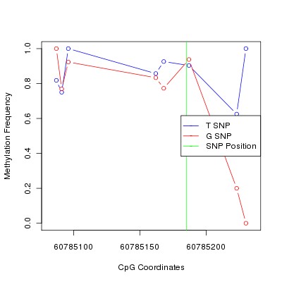 Allele Specific Methylation Frequency Diagram for chr20 60785185 SNP.