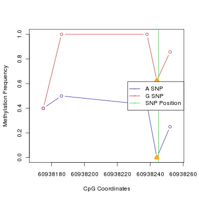 Allele Specific Methylation Frequency Diagram for chr20 60938245 SNP.