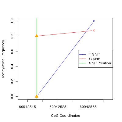 Allele Specific Methylation Frequency Diagram for chr20 60942518 SNP.