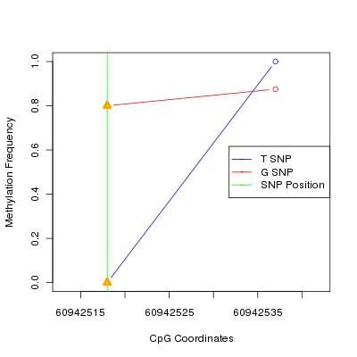 Allele Specific Methylation Frequency Diagram for chr20 60942518 SNP.