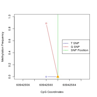 Allele Specific Methylation Frequency Diagram for chr20 60942562 SNP.
