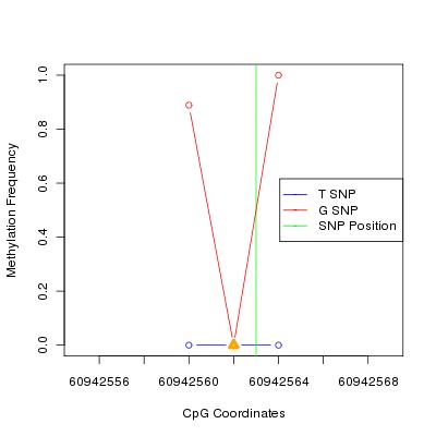 Allele Specific Methylation Frequency Diagram for chr20 60942563 SNP.