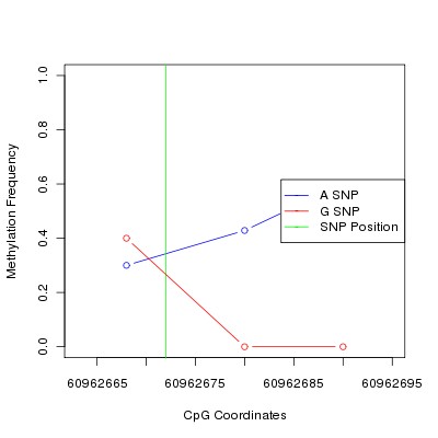 Allele Specific Methylation Frequency Diagram for chr20 60962672 SNP.