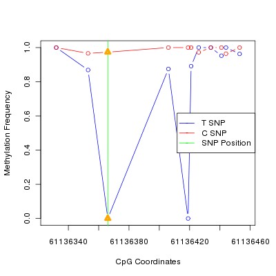 Allele Specific Methylation Frequency Diagram for chr20 61136366 SNP.