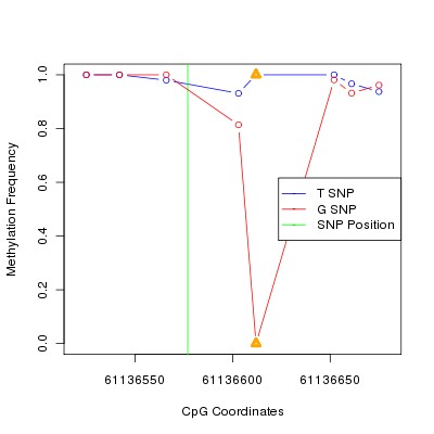 Allele Specific Methylation Frequency Diagram for chr20 61136577 SNP.