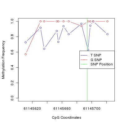 Allele Specific Methylation Frequency Diagram for chr20 61145694 SNP.