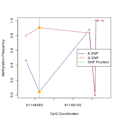 Allele Specific Methylation Frequency Diagram for chr20 61146065 SNP.