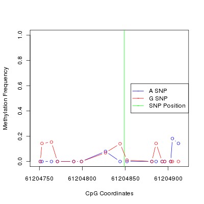 Allele Specific Methylation Frequency Diagram for chr20 61204849 SNP.