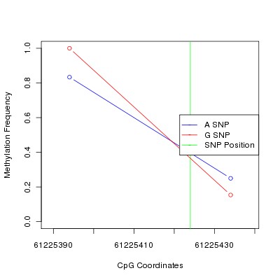 Allele Specific Methylation Frequency Diagram for chr20 61225424 SNP.