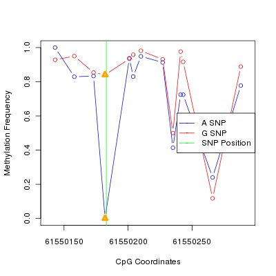 Allele Specific Methylation Frequency Diagram for chr20 61550183 SNP.