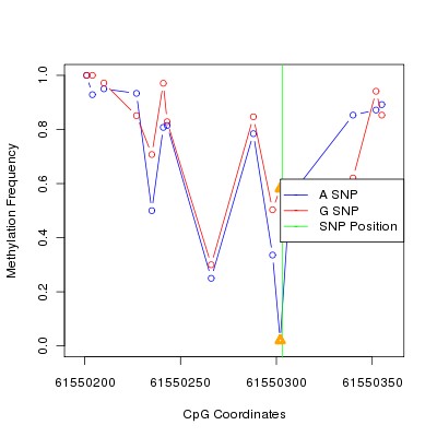 Allele Specific Methylation Frequency Diagram for chr20 61550303 SNP.