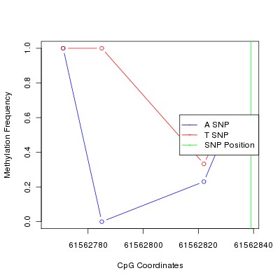 Allele Specific Methylation Frequency Diagram for chr20 61562839 SNP.