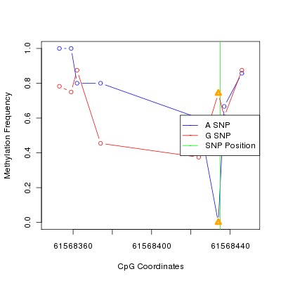 Allele Specific Methylation Frequency Diagram for chr20 61568435 SNP.