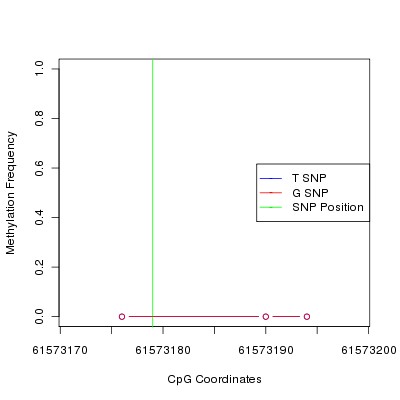 Allele Specific Methylation Frequency Diagram for chr20 61573179 SNP.