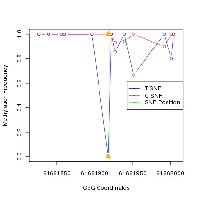 Allele Specific Methylation Frequency Diagram for chr20 61661919 SNP.