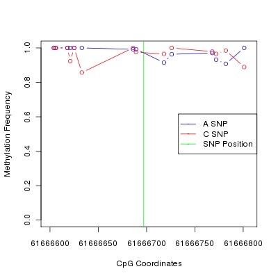 Allele Specific Methylation Frequency Diagram for chr20 61666697 SNP.