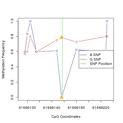 Allele Specific Methylation Frequency Diagram for chr20 61669157 SNP.