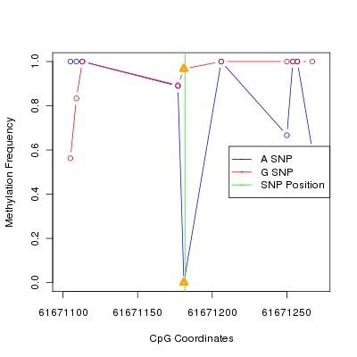 Allele Specific Methylation Frequency Diagram for chr20 61671182 SNP.