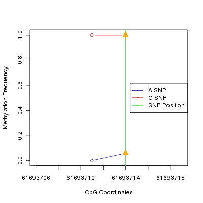 Allele Specific Methylation Frequency Diagram for chr20 61693714 SNP.