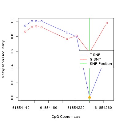 Allele Specific Methylation Frequency Diagram for chr20 61854240 SNP.