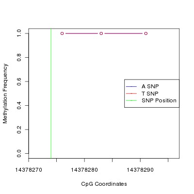 Allele Specific Methylation Frequency Diagram for chr21 14378274 SNP.