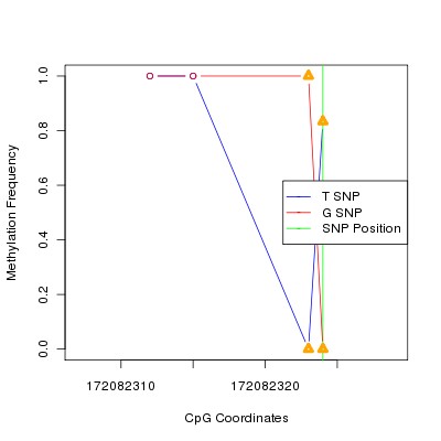 Allele Specific Methylation Frequency Diagram for chr2 172082324 SNP.