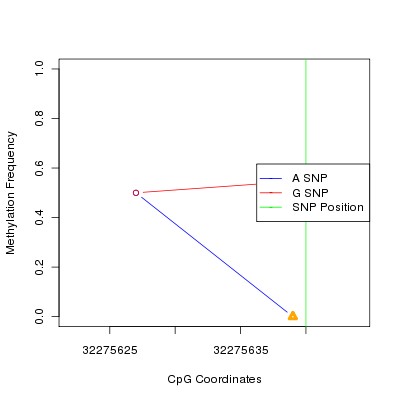 Allele Specific Methylation Frequency Diagram for chr3 32275640 SNP.