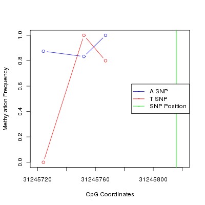 Allele Specific Methylation Frequency Diagram for chr6 31245816 SNP.