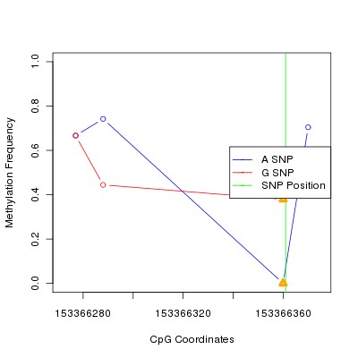 Allele Specific Methylation Frequency Diagram for chrX 153366361 SNP.