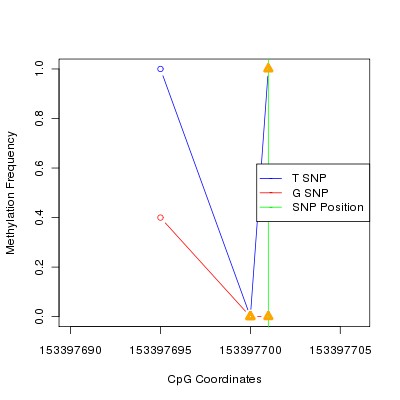 Allele Specific Methylation Frequency Diagram for chrX 153397701 SNP.