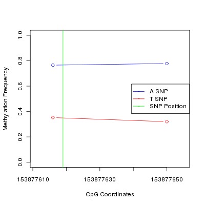 Allele Specific Methylation Frequency Diagram for chrX 153877619 SNP.