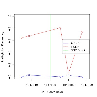 Allele Specific Methylation Frequency Diagram for chr11 1847860 SNP.