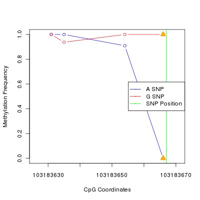 Allele Specific Methylation Frequency Diagram for chr12 103183667 SNP.
