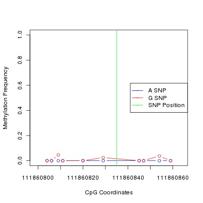 Allele Specific Methylation Frequency Diagram for chr12 111860835 SNP.