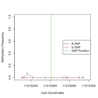 Allele Specific Methylation Frequency Diagram for chr12 11215261 SNP.