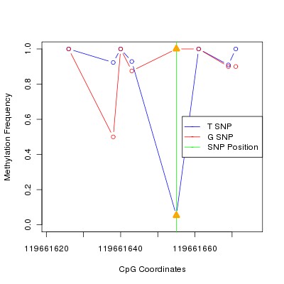 Allele Specific Methylation Frequency Diagram for chr12 119661655 SNP.