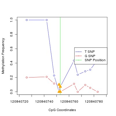 Allele Specific Methylation Frequency Diagram for chr12 120840753 SNP.