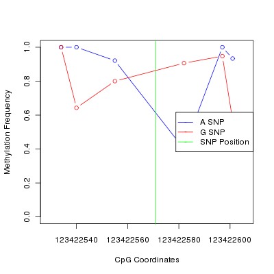 Allele Specific Methylation Frequency Diagram for chr12 123422571 SNP.
