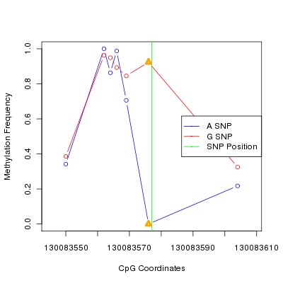 Allele Specific Methylation Frequency Diagram for chr12 130083577 SNP.