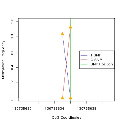 Allele Specific Methylation Frequency Diagram for chr12 130735636 SNP.