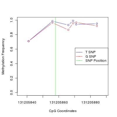 Allele Specific Methylation Frequency Diagram for chr12 131205858 SNP.