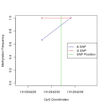 Allele Specific Methylation Frequency Diagram for chr12 131254232 SNP.