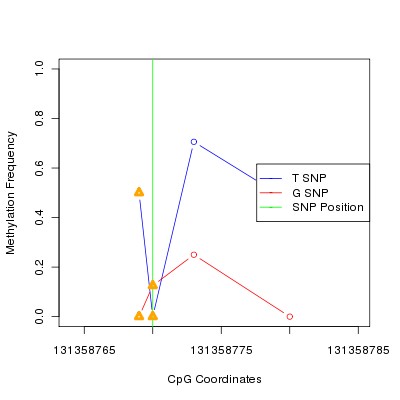 Allele Specific Methylation Frequency Diagram for chr12 131358770 SNP.