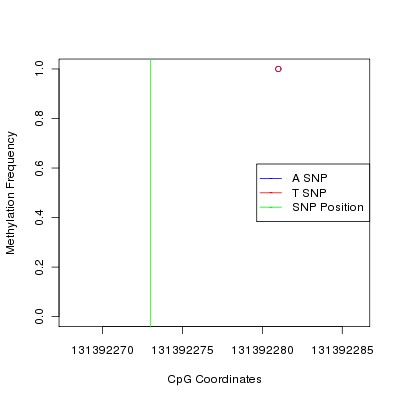 Allele Specific Methylation Frequency Diagram for chr12 131392273 SNP.