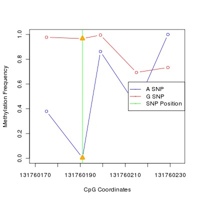 Allele Specific Methylation Frequency Diagram for chr12 131760191 SNP.