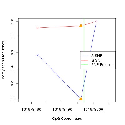 Allele Specific Methylation Frequency Diagram for chr12 131879497 SNP.