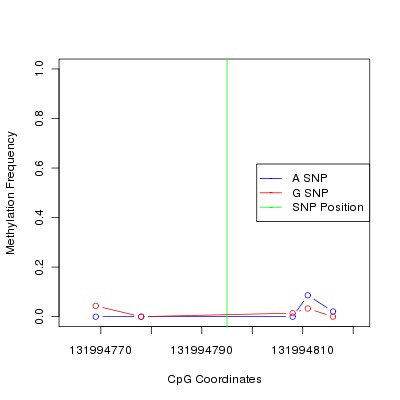 Allele Specific Methylation Frequency Diagram for chr12 131994795 SNP.