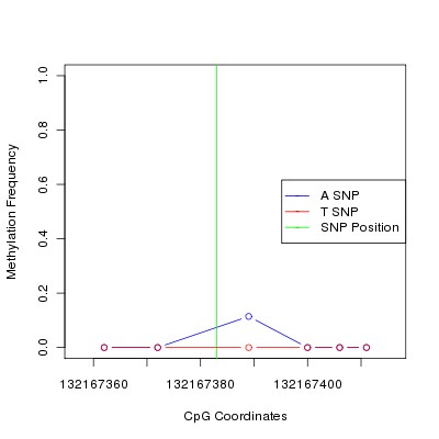 Allele Specific Methylation Frequency Diagram for chr12 132167383 SNP.