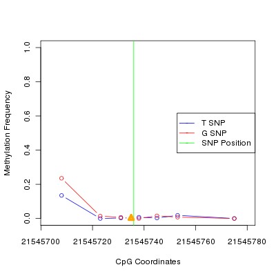 Allele Specific Methylation Frequency Diagram for chr12 21545736 SNP.