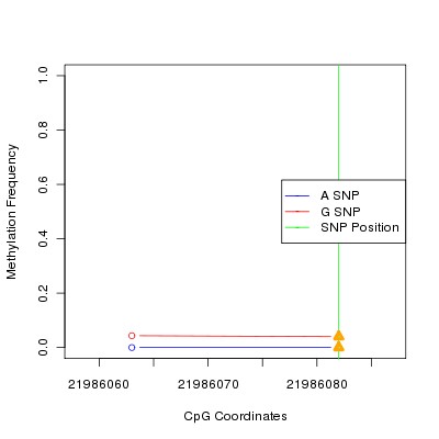 Allele Specific Methylation Frequency Diagram for chr12 21986082 SNP.